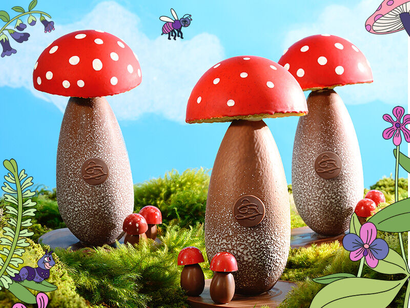 Cogumelos decorativos de chocolate colorido